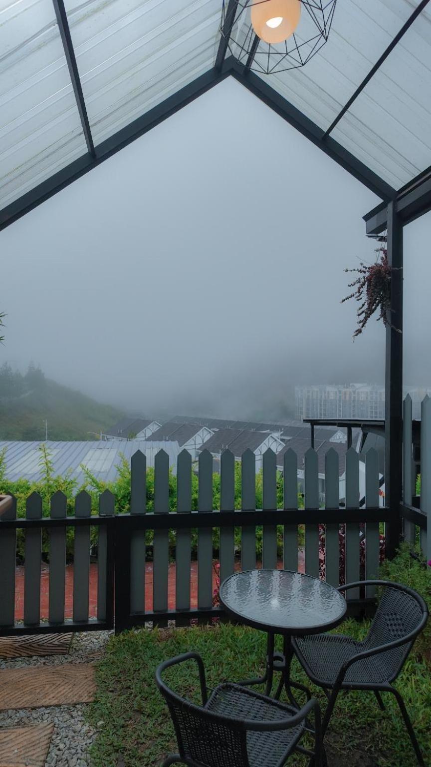 Campod @ * Cameron Highlands